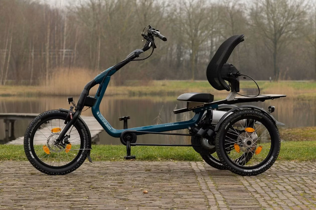 Tricycle Easy Rider