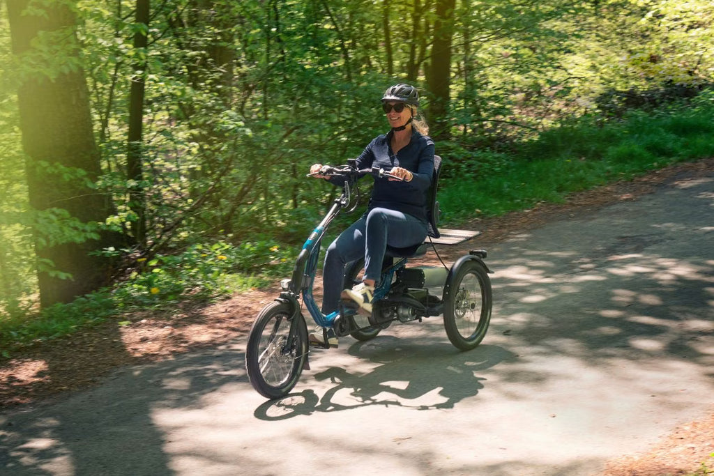 Tricycle Easy Rider