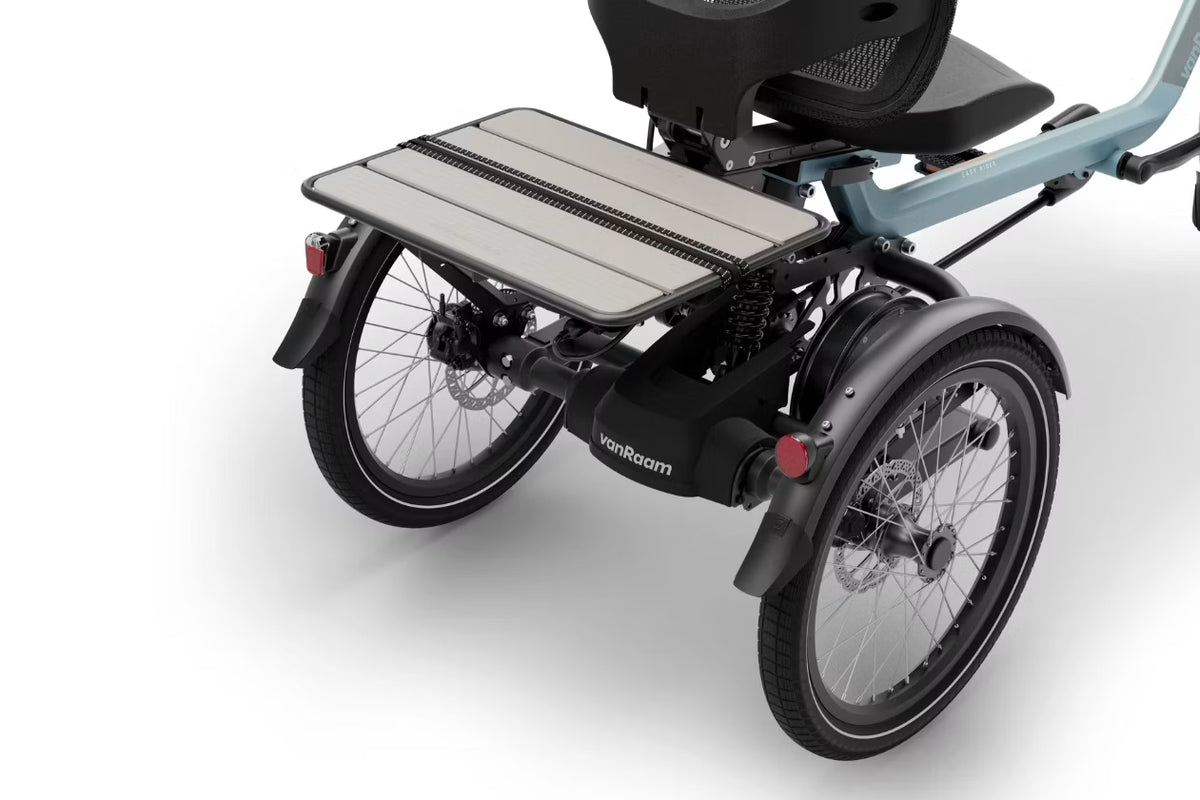 Tricycle Easy Rider