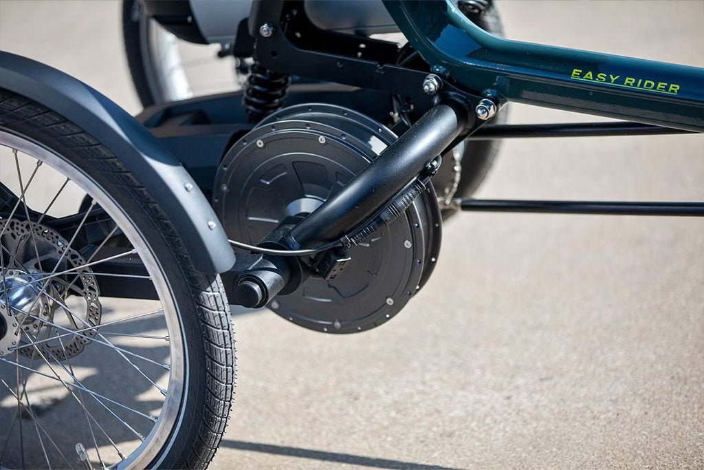 Tricycle Easy Rider