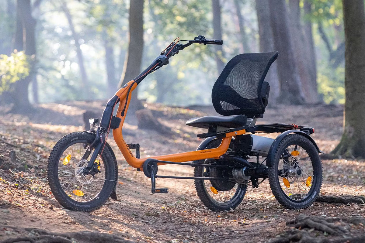Tricycle Easy Rider
