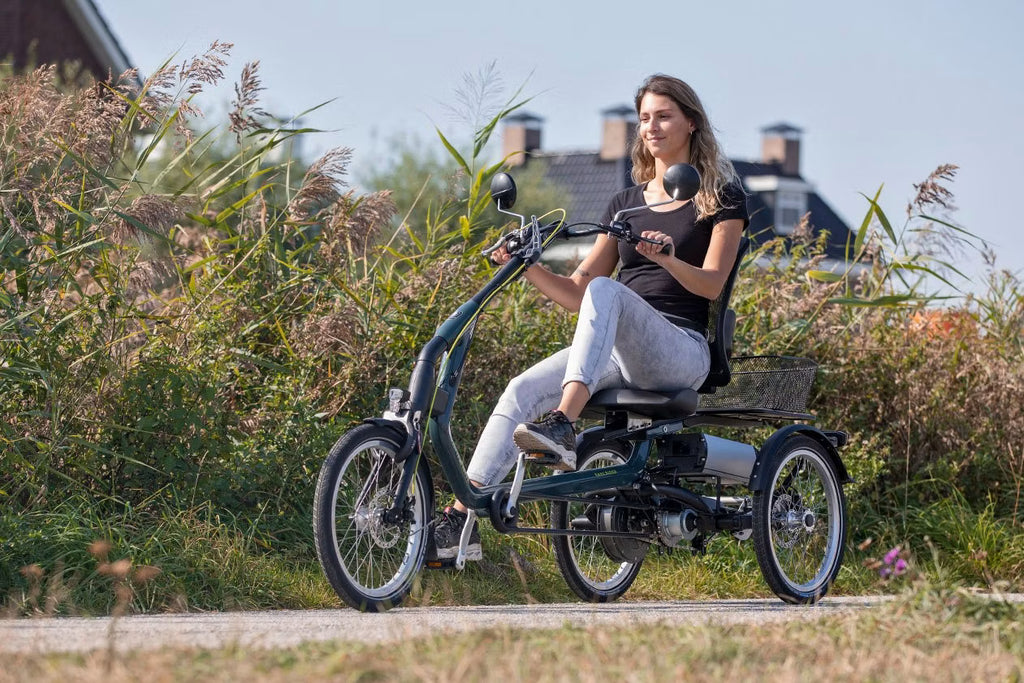 Tricycle Easy Rider