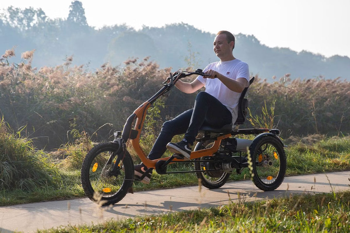 Tricycle Easy Rider