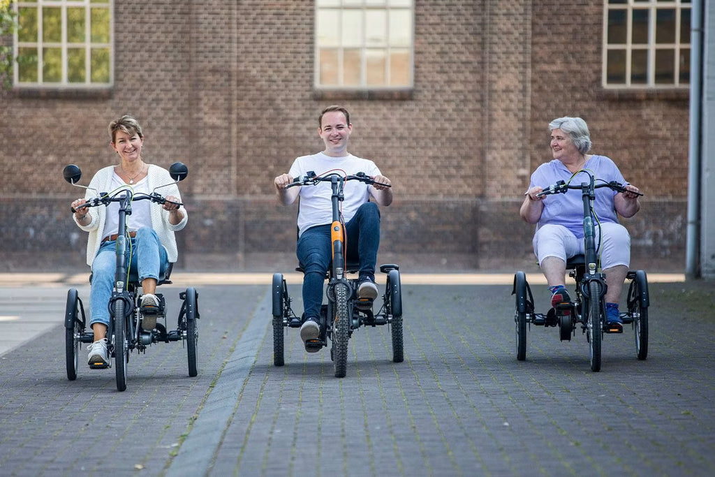 Tricycle Easy Rider