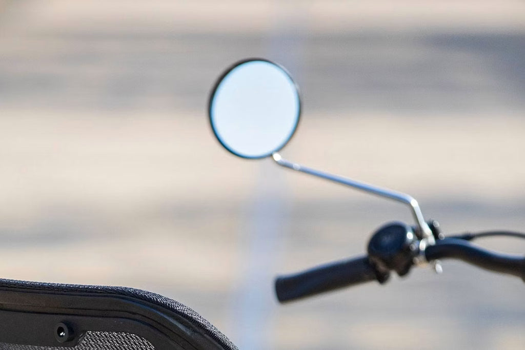 Tricycle Easy Rider