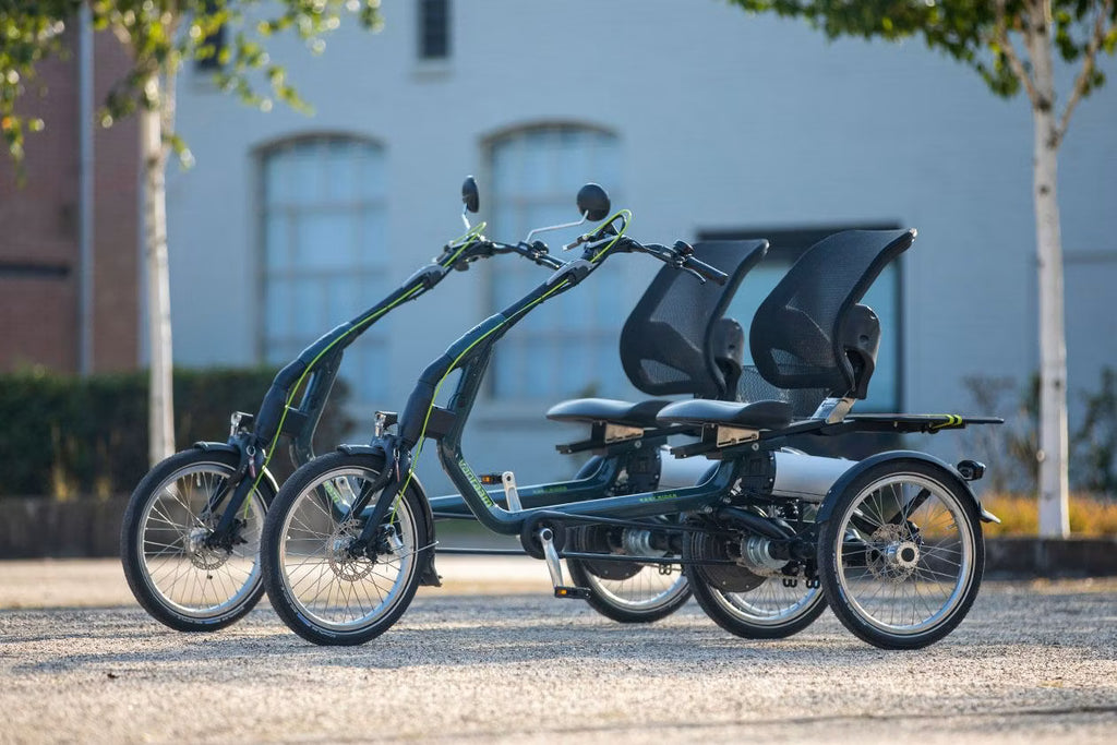 Tricycle Easy Rider